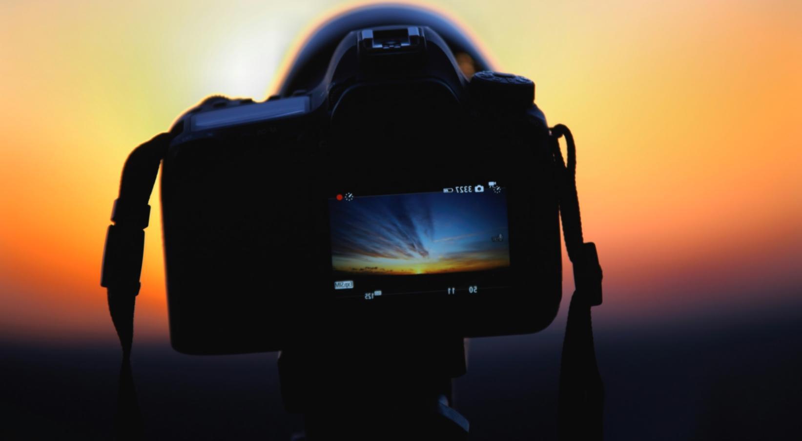 Teilnehmer bei der praktischen Schnittarbeit