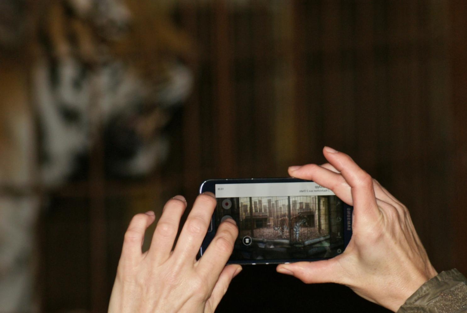 Analyse von Schnitt-Sequenzen und Storytelling-Elementen